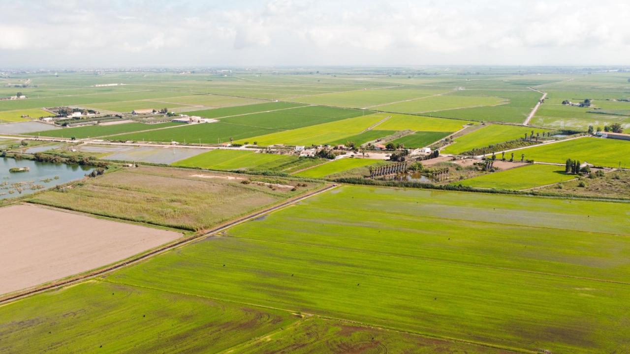 Calito Del Delta Lejlighed L'Eucaliptus Eksteriør billede